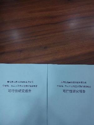 原陽(yáng)養(yǎng)老地產(chǎn)項(xiàng)目可行性研究報(bào)告